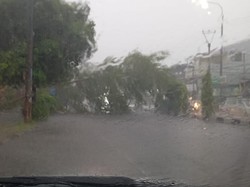 Hujan Disertai Angin di Serang, Pohon Tumbang-Jalan Sudirman Tergenang