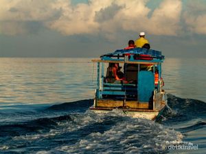 Tarian Pagi Lumba-lumba, Si Pemandu di Laut Banda Tarian Pagi Lumba-lumba, Si Pemandu di Laut Banda
