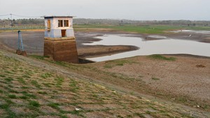 Waduk Dawuhan Mengering, Ribuan Hektare Sawah di Madiun Terancam