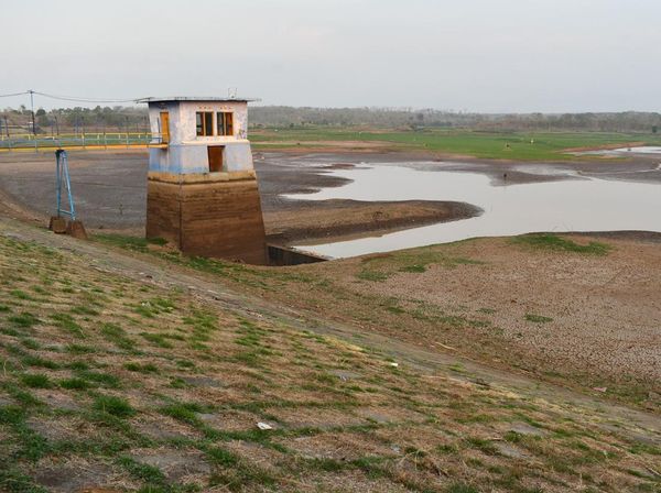 Waduk Dawuhan Mengering, Ribuan Hektare Sawah di Madiun Terancam