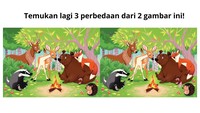 7 Tantangan Mencari Perbedaan, Hanya Mata Jeli yang Bisa Menemukan Semuanya