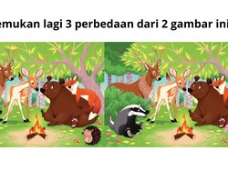 7 Tantangan Mencari Perbedaan, Hanya Mata Jeli yang Bisa Menemukan Semuanya
