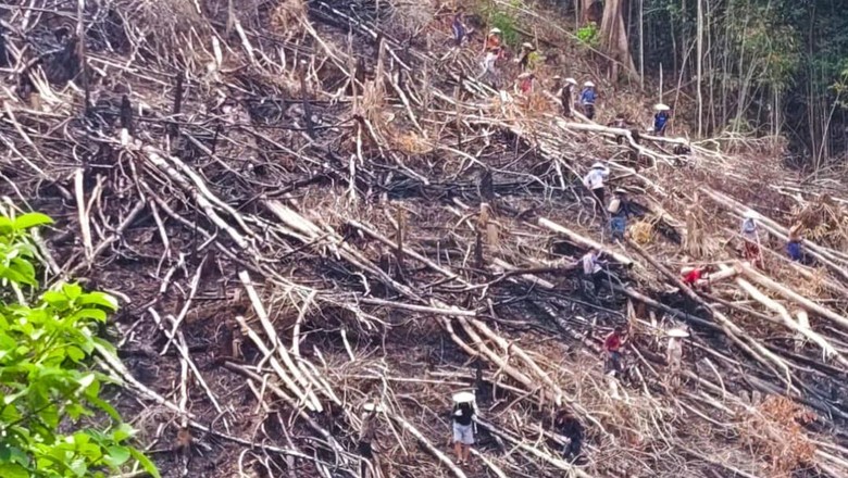 KLH Larang Bakar Lahan, Anggota DPRD Nunukan: Jangan Kambinghitamkan Peladang!