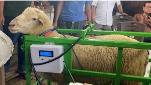 Inovasi Smart Farming Jadi Sarana Edukasi Peternakan