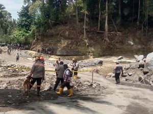 Aksi 4 Anjing Pelacak Polri Cari Korban Banjir Nagekeo Jadi Tontonan Warga Aksi 4 Anjing Pelacak Polri Cari Korban Banjir Nagekeo Jadi Tontonan Warga