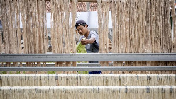 Dari Limbah Jadi Fashion, Serat Daun Nanas Subang Tembus Pasar Dunia