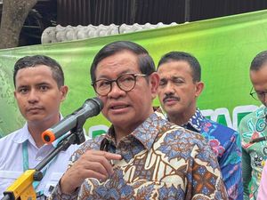 Tinjau Pertanian Vertikal, Pramono Usul Gunakan Solar Panel agar Hemat Listrik