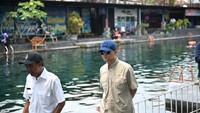 Punya Aset Rp 20 Miliar, Desa Ini Bisa Jadi Contoh Pengembangan Transmigrasi
