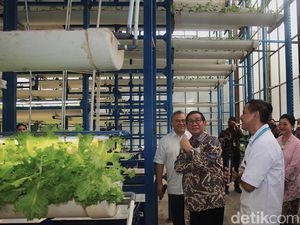 Pertanian Hidroponik Cilandak Jadi Sorotan Gubernur Pramono Pertanian Hidroponik Cilandak Jadi Sorotan Gubernur Pramono