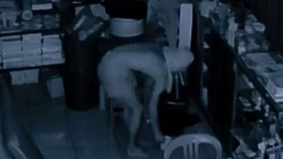 Video: Polisi Ringkus Ninja Pencuri Tabungan Siswa hingga Gas!