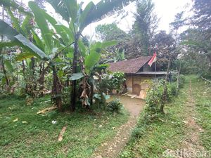Penampakan Persembunyian Iwan Pembunuh Serda RS di Wonosobo Penampakan Persembunyian Iwan Pembunuh Serda RS di Wonosobo
