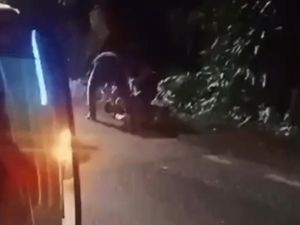 Preman Tukang Palak di Lampung Teriak Histeris Saat Diciduk Polisi Preman Tukang Palak di Lampung Teriak Histeris Saat Diciduk Polisi