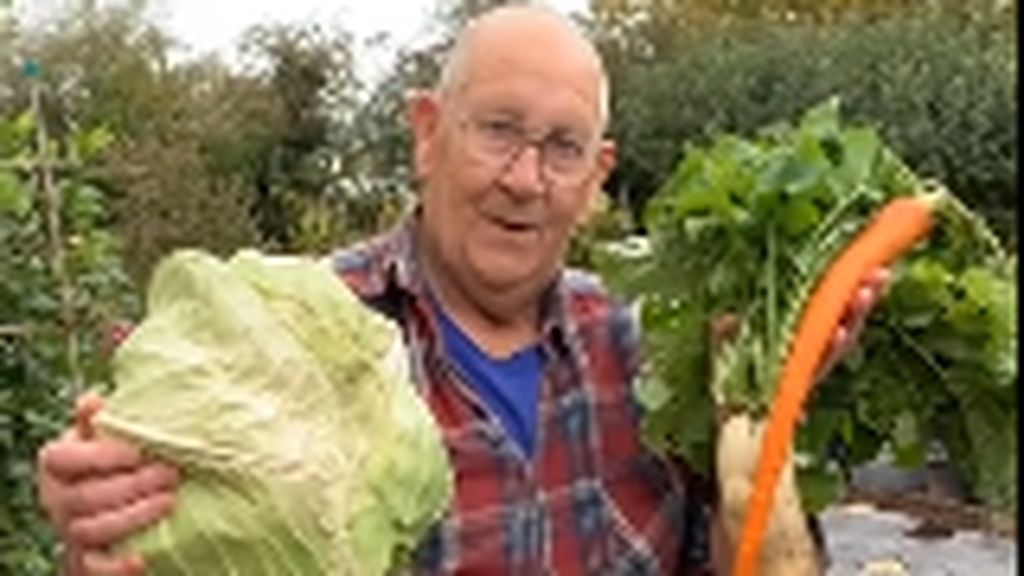 Unik! Pria Ini Sukses Panen Sayur dan Buah Raksasa di Halaman Rumah Unik! Pria Ini Sukses Panen Sayur dan Buah Raksasa di Halaman Rumah
