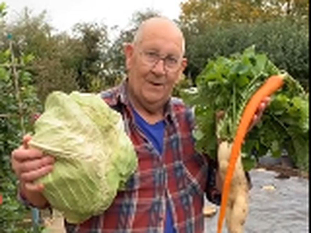 Unik! Pria Ini Sukses Panen Sayur dan Buah Raksasa di Halaman Rumah Unik! Pria Ini Sukses Panen Sayur dan Buah Raksasa di Halaman Rumah