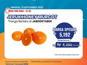 Diskon Buah Cuma di Transmart Full Day Sale, Jeruk dan Pear Banting Harga Diskon Buah Cuma di Transmart Full Day Sale, Jeruk dan Pear Banting Harga
