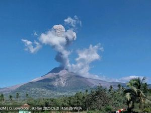Gunung Lewotobi Laki-laki Erupsi, Semburkan Abu Vulkanik 2,5 Km