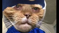 Kekalahan di tangan MU diyakini bikin fans Chelsea merana. Foto: dok. Internet/X (Twitter)