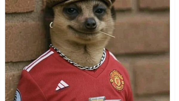 Meme Chelsea Juara Dunia Tapi Dilibas Manchester United