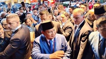 Prabowo Akan Hadiri KTT PBB soal Solusi Dua Negara untuk Palestina