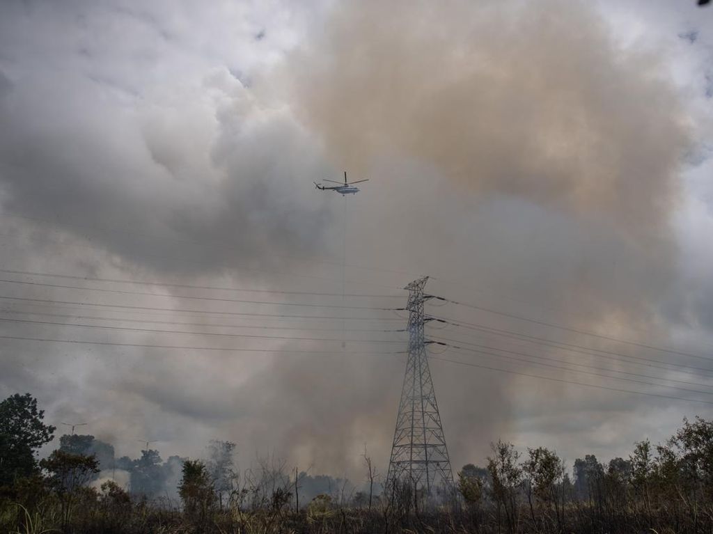 Water Bombing Dikerahkan, Api di Lahan Ogan Ilir Berhasil Dipadamkan Water Bombing Dikerahkan, Api di Lahan Ogan Ilir Berhasil Dipadamkan
