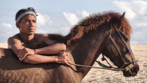 Merekam Keindahan Sumba dengan Xiaomi 15T, Hasilnya Memukau