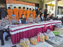 Pencuri Ternak di Bangli Jual Sapi Curian ke Beringkit, Beraksi Saat Pagi Hari
