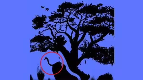 Tes kepribadian ilusi optik belakangan cukup populer dan disukai banyak orang. Seperti tes kepribadian yang satu ini, ada empat hewan berbeda. Berdasarkan apa yang ditangkap oleh matamu pertama kali, hewan tersebut bisa mengungkap kepribadianmu.