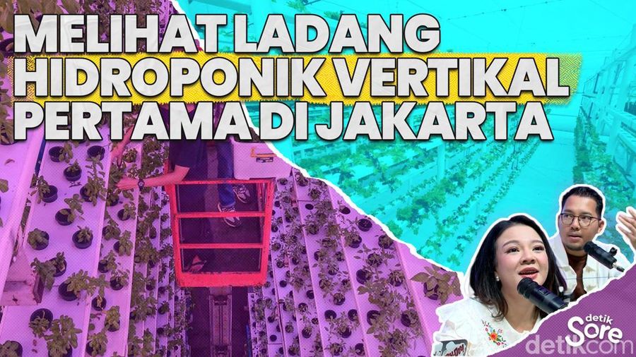 Video: Inovasi Pertanian Vertikal, Solusi Ketahanan Pangan Perkotaan