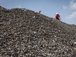 Limbah Kerang Menggunung di Jakut, DKI Akan Olah Jadi Paving hingga Suvenir