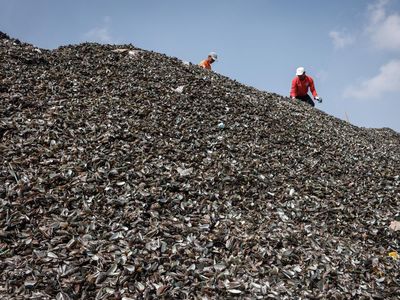 Gunungan Limbah Cangkang Kerang Cemari Kalibaru Cilincing
