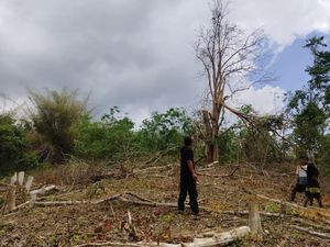 Mantan Ketua RT di Kupang Tewas Terjatuh Saat Potong Dahan Pohon