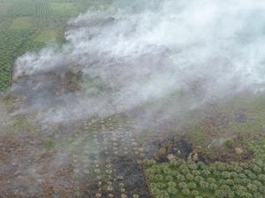 Sampit Dilanda Asap, Kualitas Udara Menurun Ancam Lansia-Balita