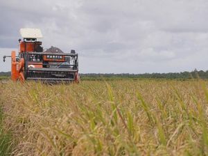 Kementan Tegaskan Pengadaan Alsintan Dijalankan Transparan & Profesional