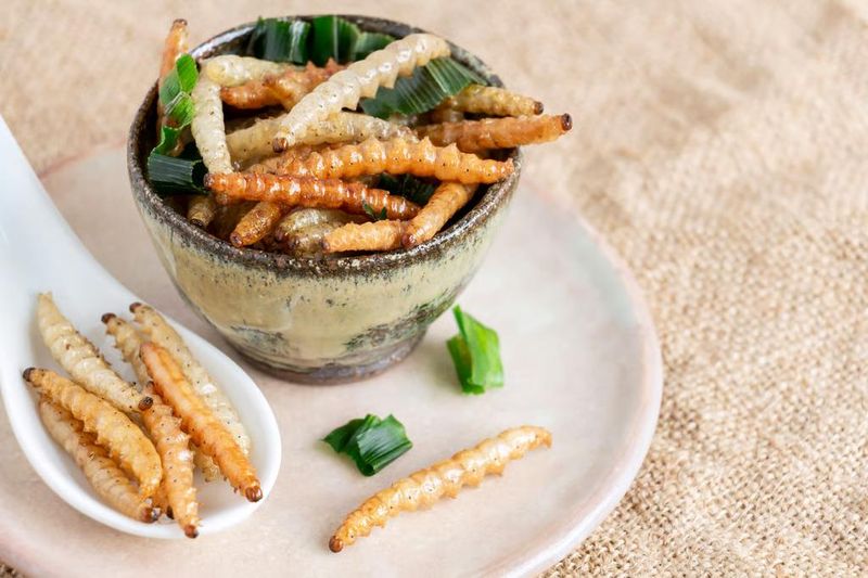 makanan esktrem di China