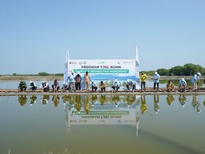 Dukung Program Prioritas, Pelindo Petikemas Tanam 50 Ribu Bibit Mangrove