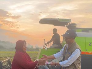 Bulog Sulselbar Kembali Terjun Beli Gabah ke Petani agar Harga Tetap Stabil Bulog Sulselbar Kembali Terjun Beli Gabah ke Petani agar Harga Tetap Stabil