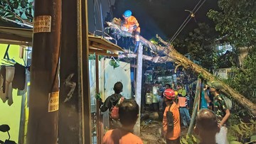 Hujan dan Angin Kencang, Pohon Tumbang Timpa Rumah-Tutup Jalan di Bogor