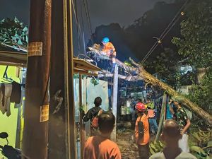 Hujan dan Angin Kencang, Pohon Tumbang Timpa Rumah-Tutup Jalan di Bogor Hujan dan Angin Kencang, Pohon Tumbang Timpa Rumah-Tutup Jalan di Bogor