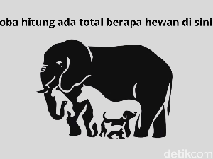 Cuma Si Jeli yang Bisa Jawab Semua dengan Benar, Kamu Termasuk? Cuma Si Jeli yang Bisa Jawab Semua dengan Benar, Kamu Termasuk?