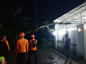 Pohon Tumbang Timpa Rumah Warga di Ciampea Bogor, 1 Pria Lansia Terluka Pohon Tumbang Timpa Rumah Warga di Ciampea Bogor, 1 Pria Lansia Terluka