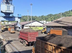 Onde Mandeh, 12 Ribu Ton Cangkang Sawit Sumbar Lolos Karantina ke Jepang