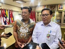 Kementan Sebut Harga Ayam dan Telur di Peternak Masih Murah