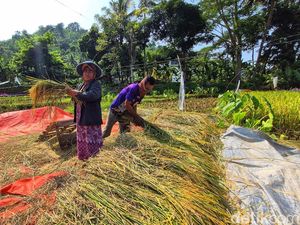 Kala Petani Sukabumi Menua Kala Petani Sukabumi Menua