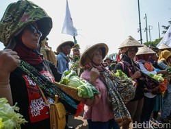 Video: Pakar Sebut Ada yang Bikin Petani Indonesia Gundah, Apa Itu?
