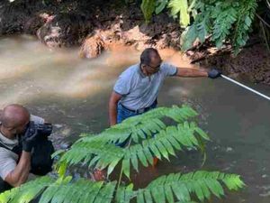 Polisi Usut Dugaan Pembuangan Bayi di Sungai Nagawiru