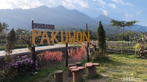Potret Pesona Agrowisata Pakuwon Kuningan