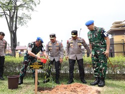 Perkuat Sinergi, Danpuspomad Kunjungi Polda Riau Diawali Aksi Tanam Pohon Perkuat Sinergi, Danpuspomad Kunjungi Polda Riau Diawali Aksi Tanam Pohon