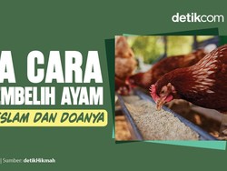 Tata Cara Menyembelih Ayam dalam Islam dan Doanya