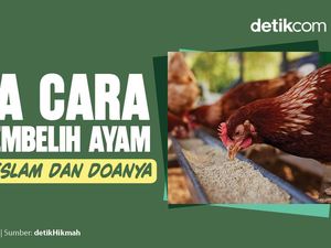 Tata Cara Menyembelih Ayam dalam Islam dan Doanya Tata Cara Menyembelih Ayam dalam Islam dan Doanya