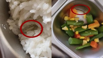 Heboh Ada Ulat di Menu MBG SMK Jambi, Kepsek Bilang Begini